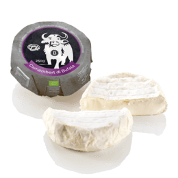 Camembert